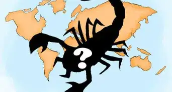 traiter une piqure de scorpion