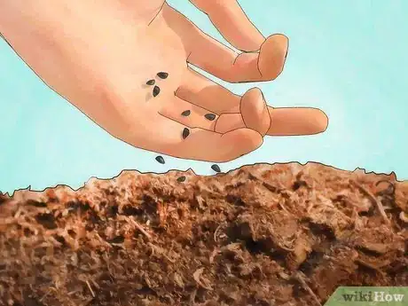 Image intitulée Grow a Venus Flytrap Step 15