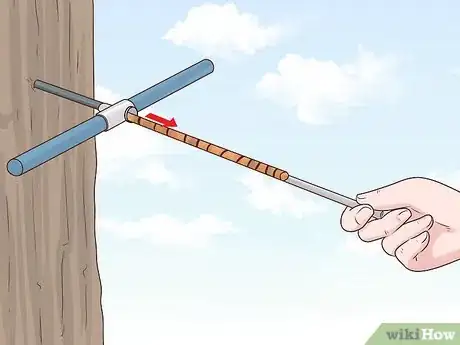 Image intitulée Determine the Age of a Tree Step 19