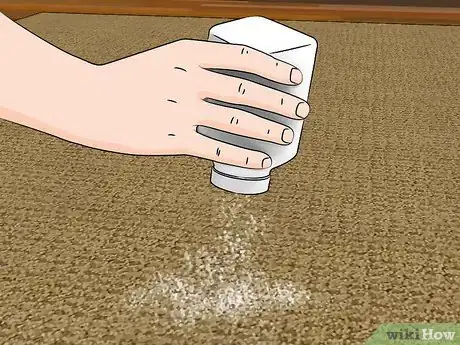 Image intitulée Clean a Jute Rug Step 3