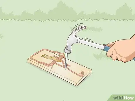Image intitulée Trap a Backyard Bird Step 16