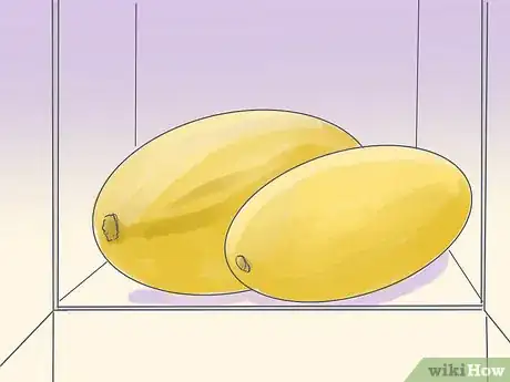 Image intitulée Grow Spaghetti Squash Step 12