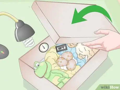 Image intitulée Create an Egg Incubator for Wild Bird Eggs Step 13
