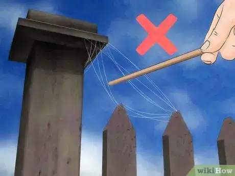 Image intitulée Identify and Treat Black Widow Spider Bites Step 9
