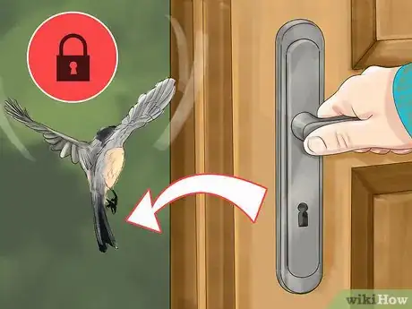 Image intitulée Clip a Small Bird's Wings Step 12