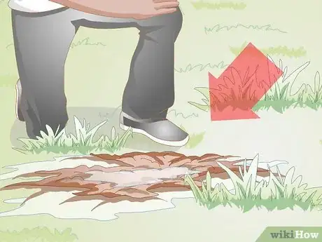 Image intitulée Gather Earthworms Step 12