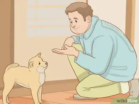Image intitulée Sell Puppies Step 15