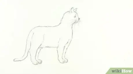 Image intitulée Draw a Cat Step 6