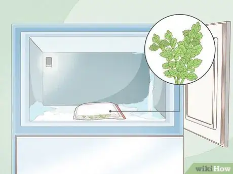 Image intitulée Grow Parsley Step 16