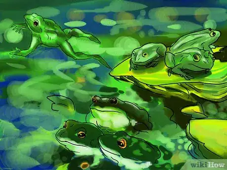 Image intitulée Get Rid of Frogs Step 1