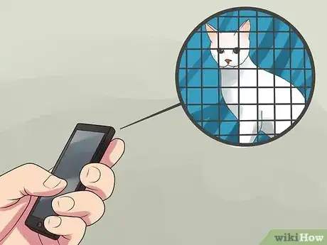 Image intitulée Trap Cats Step 12