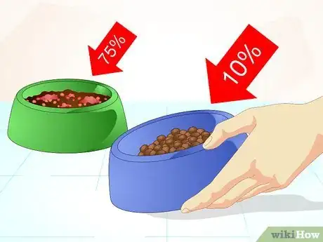 Image intitulée Firm Up Your Dog's Stool Step 6