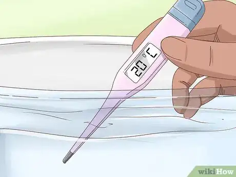 Image intitulée Tell if a Goldfish Is Pregnant Step 3