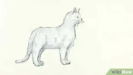 Image intitulée Draw a Cat Step 7