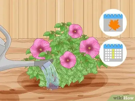 Image intitulée Winterize a Perennial Hibiscus Step 3