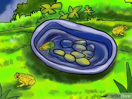 Image intitulée Get Rid of Frogs Step 3Bullet2