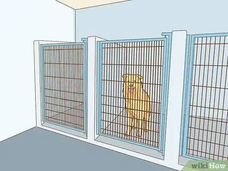 Image intitulée Leave Your Pets Alone While on Vacation Step 7