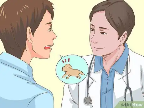Image intitulée Care for a Dog After Spaying Step 23