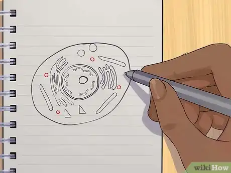 Image intitulée Draw an Animal Cell Step 10