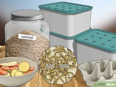 Image intitulée Raise Mealworms Step 1