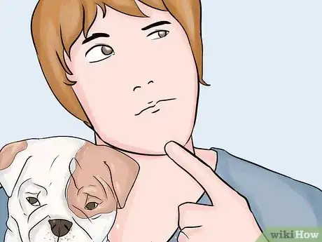 Image intitulée Breed English Bulldogs Step 4