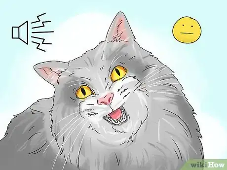 Image intitulée Identify a Siberian Cat Step 8