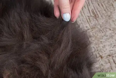 Image intitulée Give Your Cat a Massage Step 17