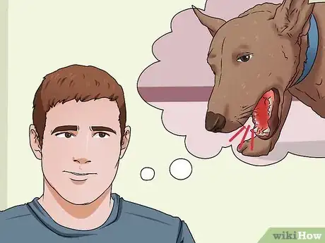 Image intitulée Treat Kennel Cough Step 1