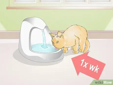 Image intitulée Train Your Cat to Use a Pet Fountain Step 4
