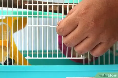 Image intitulée Care for a Hamster Step 5