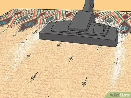 Image intitulée Get Dog Smell Out of the Carpet Step 3