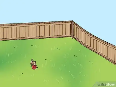 Image intitulée Take Care of Puppies Step 16