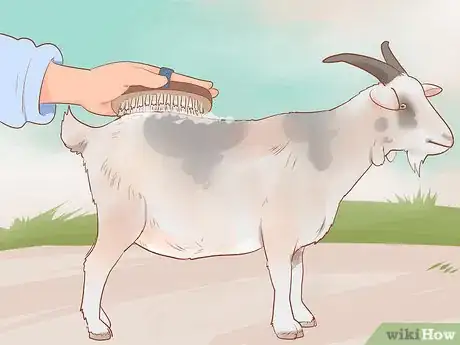 Image intitulée Care for Pygmy Goats Step 11