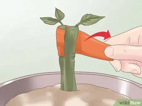 Image intitulée Graft Plants Step 25