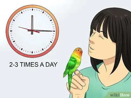 Image intitulée Play With Your Budgie Step 5