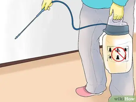 Image intitulée Apply Diatomaceous Earth to Carpet Step 8