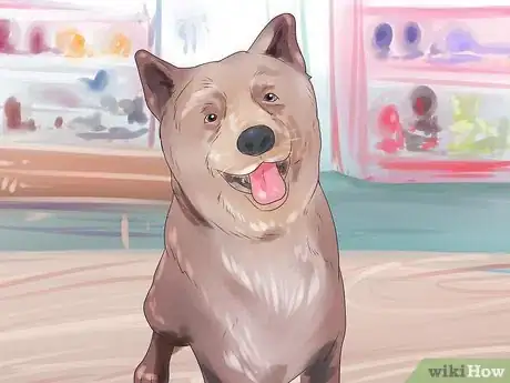 Image intitulée Bond With Your Dog Step 8