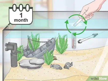 Image intitulée Set up a Tropical Freshwater Aquarium Step 19
