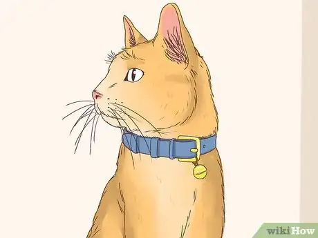 Image intitulée Know if a Cat Is a Stray Step 6