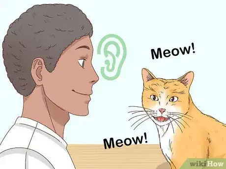 Image intitulée Know if a Cat Is a Stray Step 5