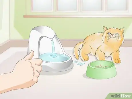 Image intitulée Train Your Cat to Use a Pet Fountain Step 7