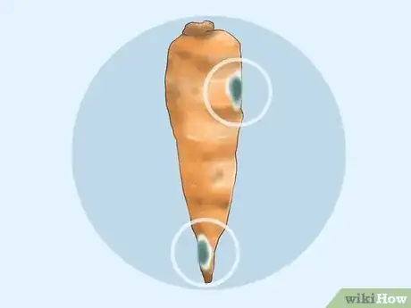 Image intitulée Tell if Carrots Are Bad Step 5