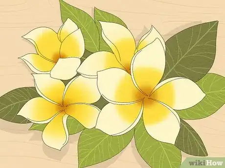 Image intitulée Make a Lei Step 1