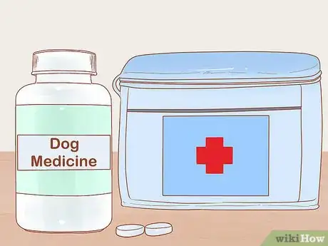 Image intitulée Get Rid of Tapeworms in Your Pets Step 5