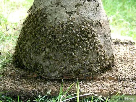 Image intitulée 2390919 7
