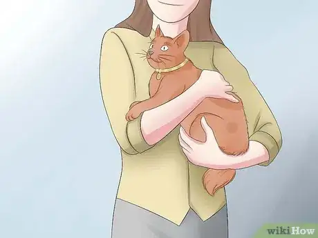 Image intitulée 666423 19