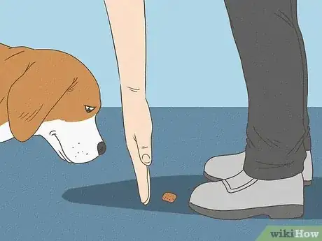 Image intitulée Tell Your Dog No Step 5