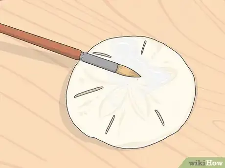 Image intitulée Clean Sand Dollars Step 9