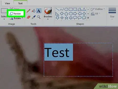 Image intitulée Put Text on Pictures Step 12