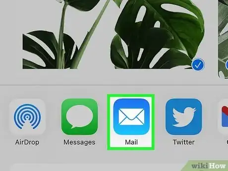 Image intitulée Attach Photos and Videos to Emails on an iPhone or iPad Step 14